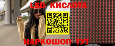 винт Славгород