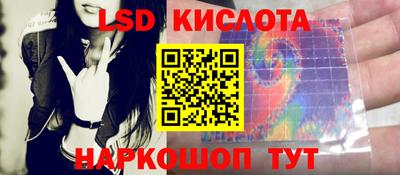 винт Славгород