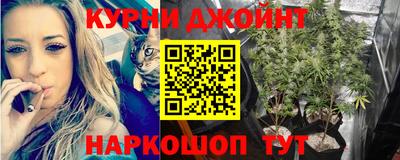 тгк Сланцы