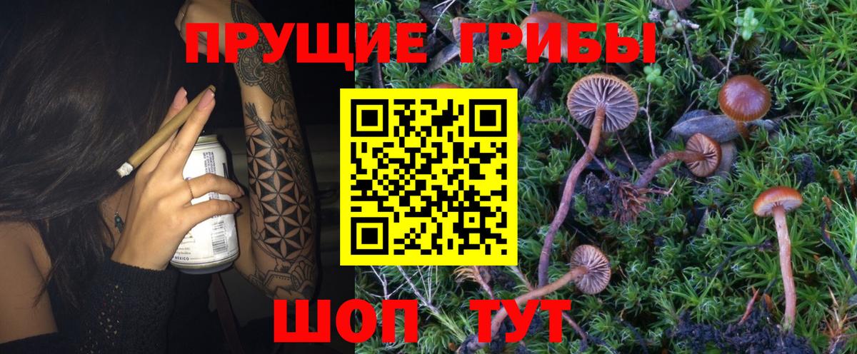 Обнинск  Псилоцибиновые грибы MAGIC MUSHROOMS  Псилоцибиновые грибы мухоморы  Вход с VPN 