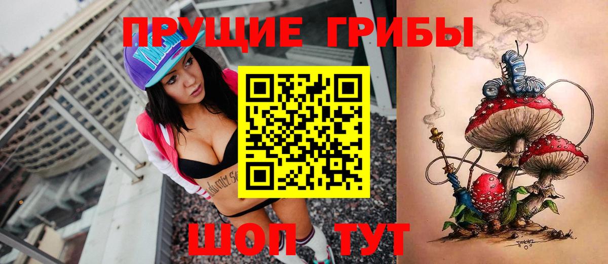 Галлюциногенные грибы Psilocybe Обнинск